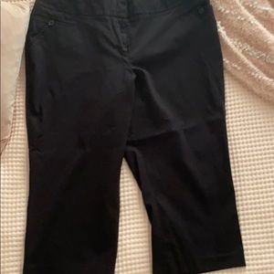 Lane Bryant Dress Capri Pants Size 22